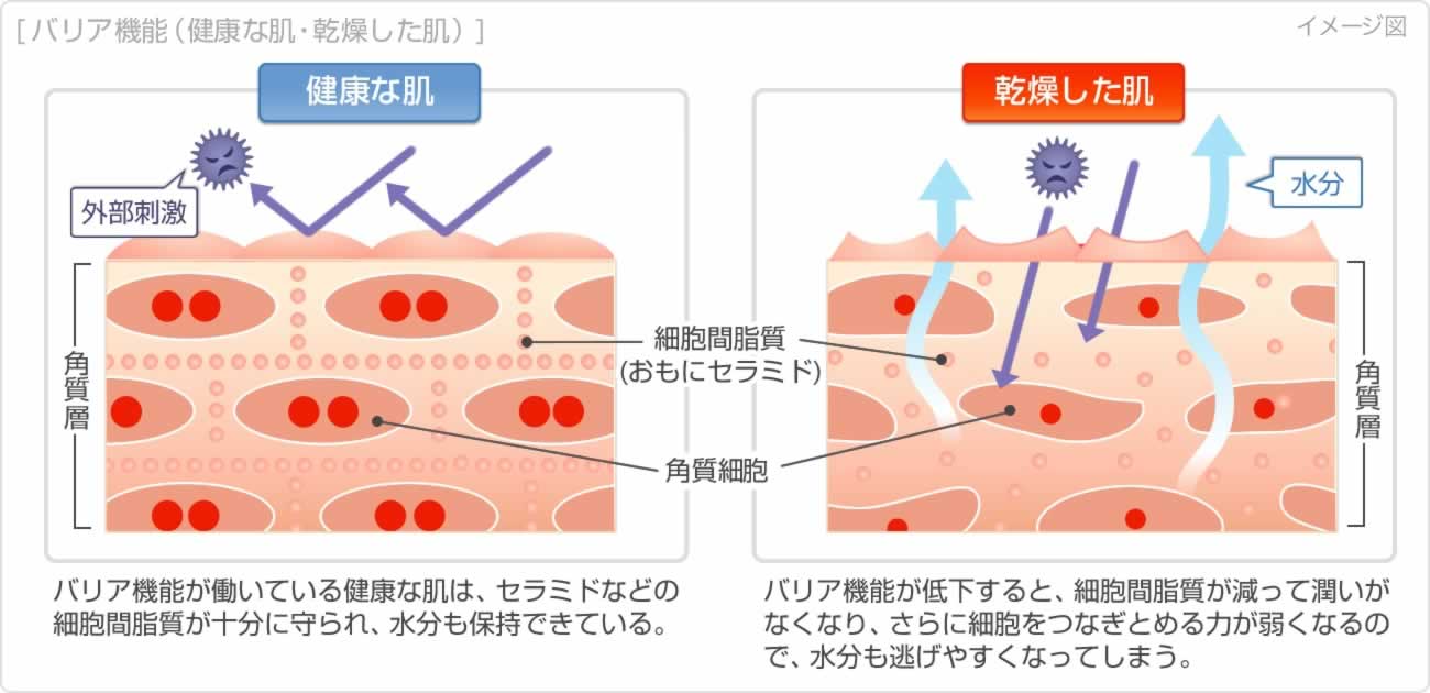 当院で扱う皮膚疾患 肌トラブルについて 女医の巣鴨千石皮ふ科