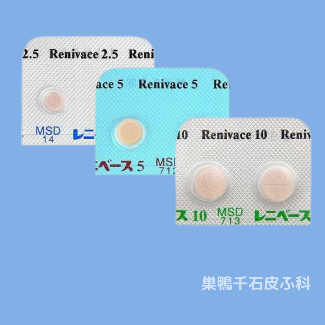 レニベースの写真