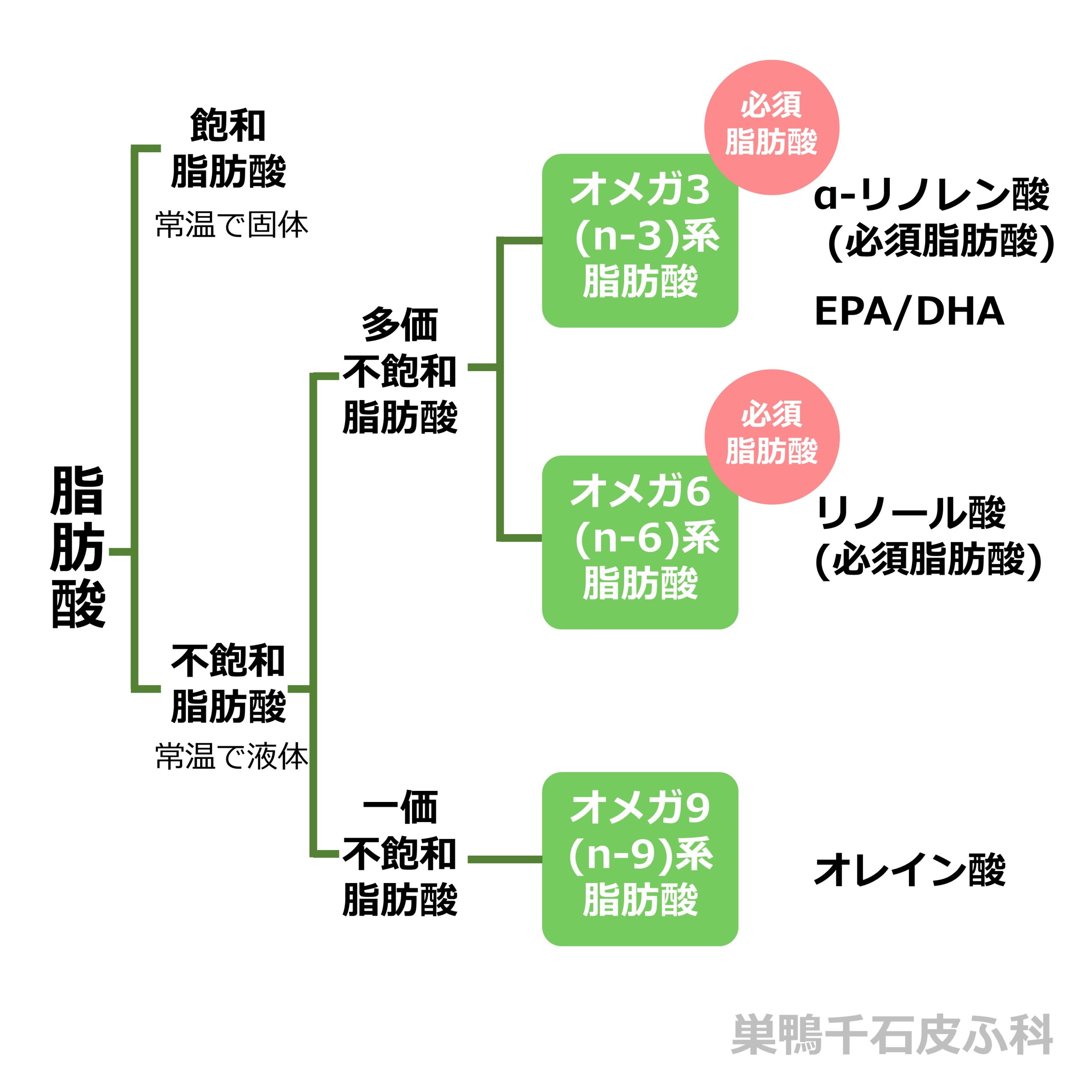 脂肪酸の分類